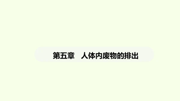 第四单元-第五章-人体内废物的排出课件-2024-2025学年七年级生物下学期人教版(2024)(共