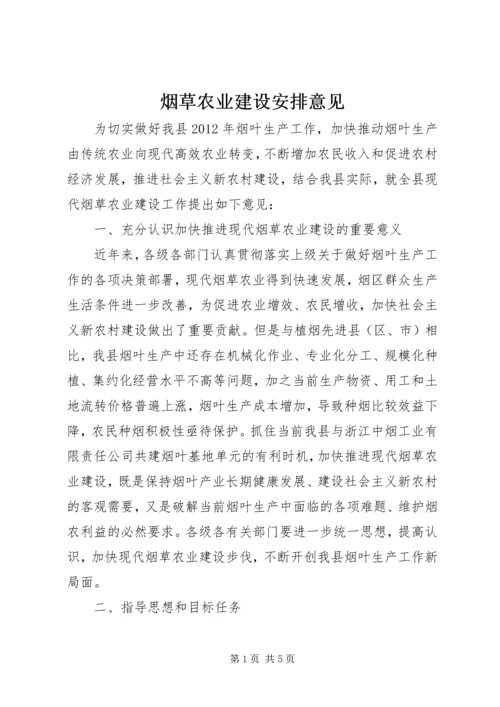 烟草农业建设安排意见.docx