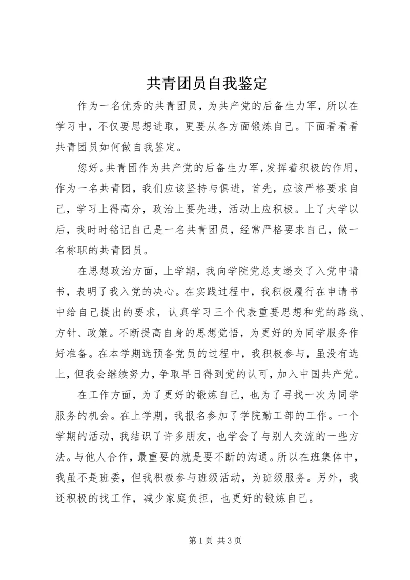 共青团员自我鉴定精编.docx