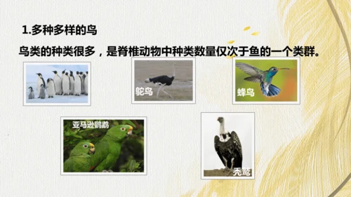 人教版 初中生物七年级上册2.2.2脊椎动物（鸟和哺乳动物）课件(共24张PPT)+ 视频素材