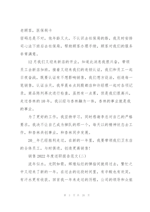 销售2022年度述职报告范文.docx