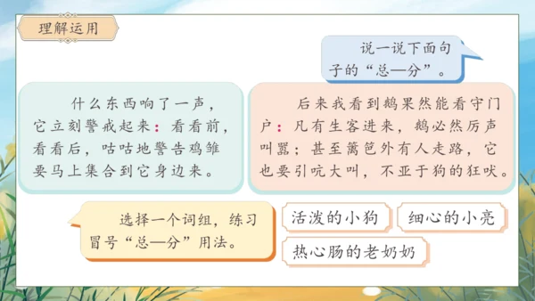 【核心素养】部编版语文四年级下册-语文园地四（课件）
