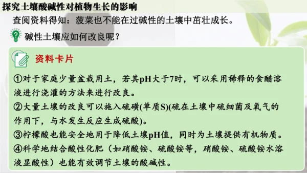 跨学科实践活动9  探究土壤酸碱性对植物生长的影响课件(共33张PPT)