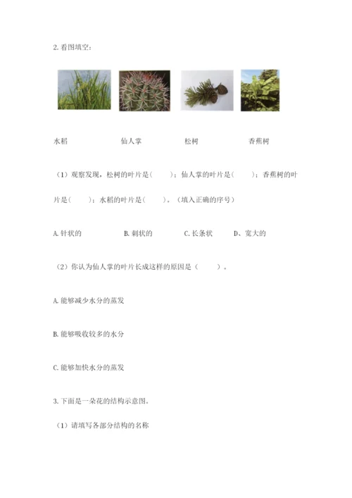 教科版科学四年级下册第一单元《植物的生长变化》测试卷带答案（实用）.docx