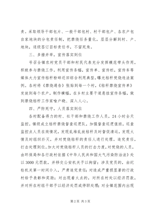 乡镇秸秆禁烧工作总结.docx