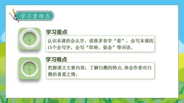 【核心素养】部编版语文四年级下册-15.白鹅 第1课时（课件）