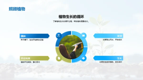 植物生长秘籍揭晓