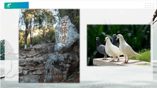 13万里一线牵（课件）（共25张PPT）（全一课）