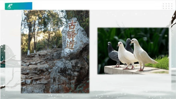13万里一线牵（课件）（共25张PPT）（全一课）