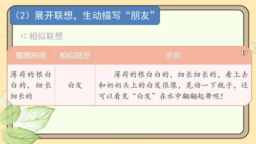 统编版语文三年级下册2024-2025学年度第一单元习作：我的植物朋友（课件）