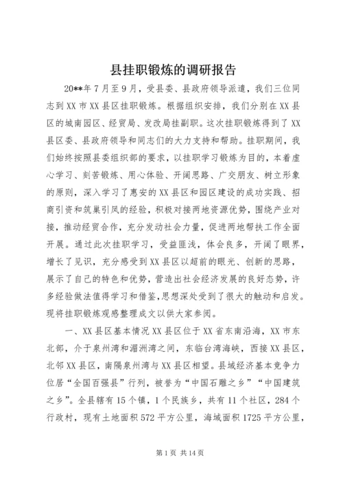 县挂职锻炼的调研报告.docx