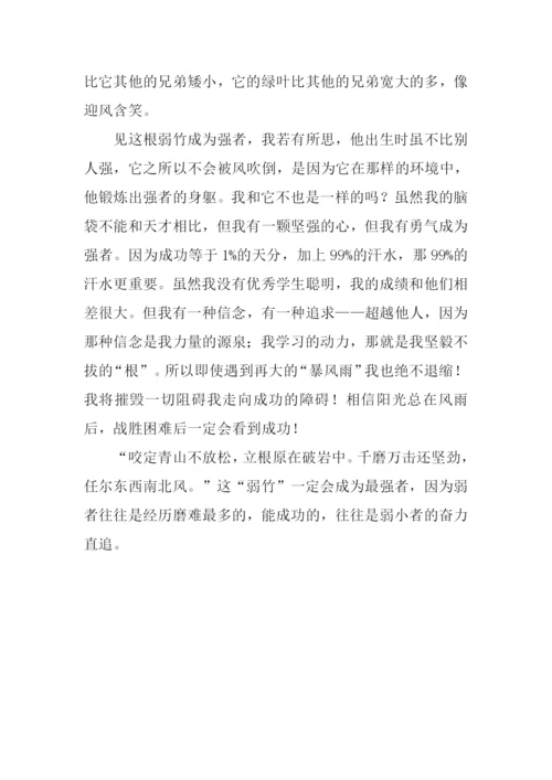 一根弱竹作文800字.docx