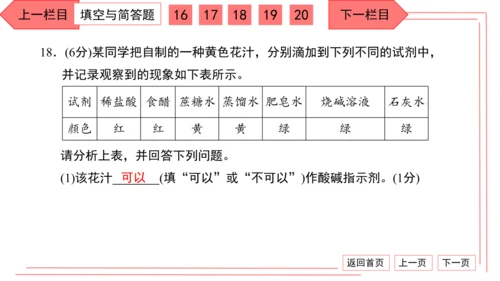 人教版化学九年级下册期中检测卷 习题课件（35张PPT）