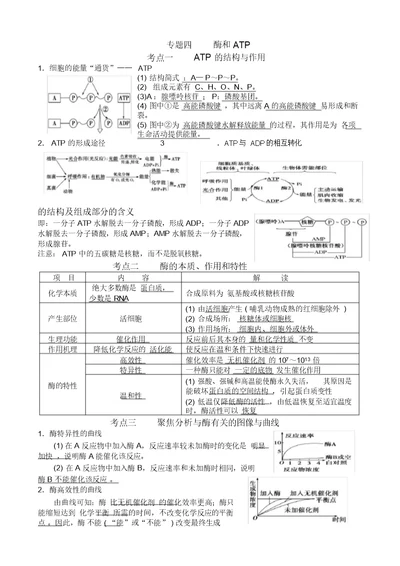 专题四酶和atp知识点