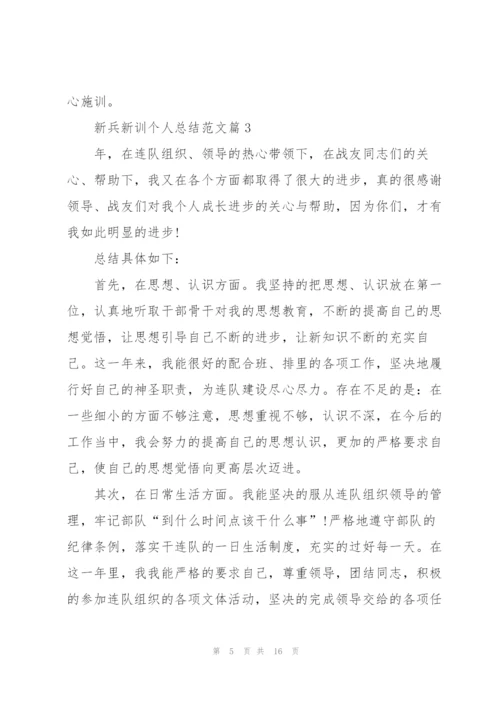 新兵新训结束个人总结5篇.docx