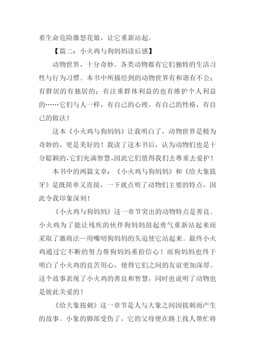 小火鸡与狗妈妈读后感500字.docx