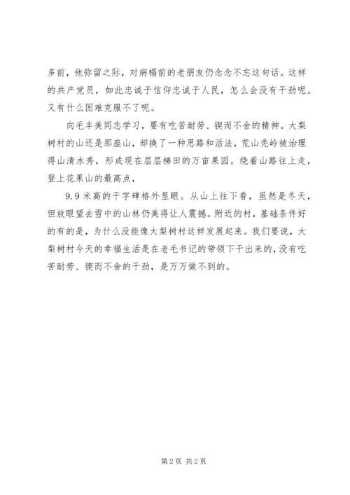 学习毛丰美同志先进事迹心得体会（党员）.docx