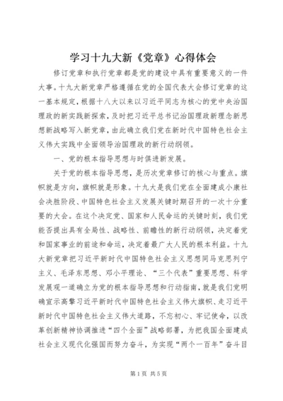 学习十九大新《党章》心得体会 (2).docx