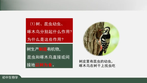 1.2.2 生物与环境组成生态系统 课件（共30张PPT）