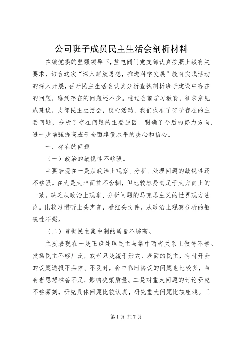 公司班子成员民主生活会剖析材料.docx