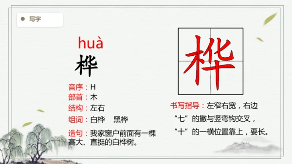 【2025春季学期教材】语文四下11.白桦  生字识记课件