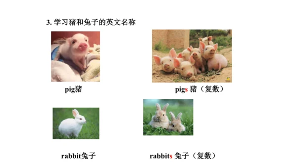 人教精通版小学英语三年级上册同步课件（共117张PPT)
