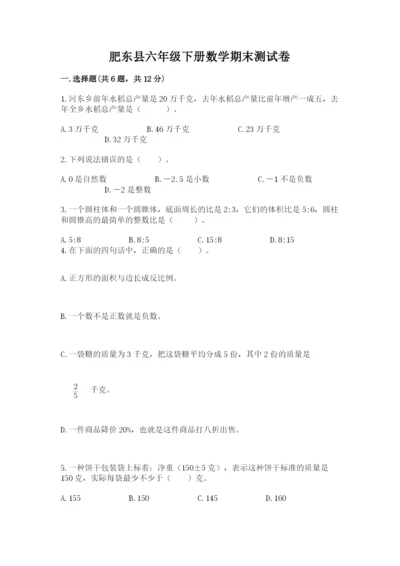 肥东县六年级下册数学期末测试卷附精品答案.docx