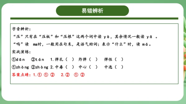 统编版2024三年级语文上册第四单元复习   课件