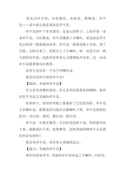 美丽的牵牛花作文100字.docx