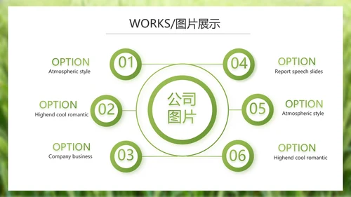 绿色农产品介绍宣传动态PPT模板