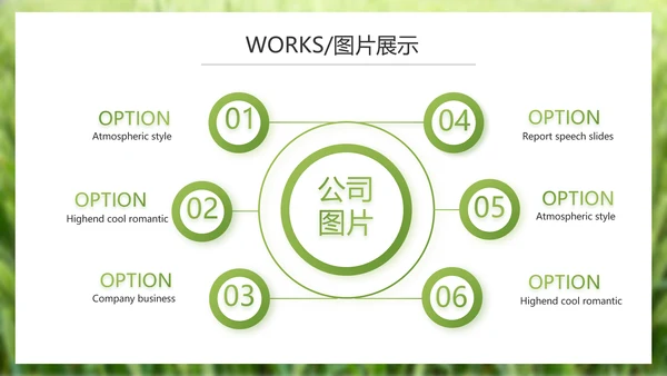 绿色农产品介绍宣传动态PPT模板