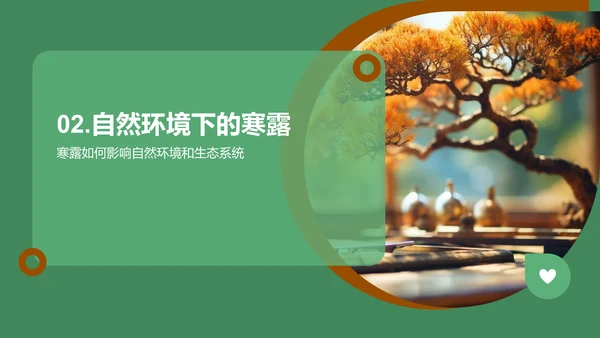 寒露节气科学解析