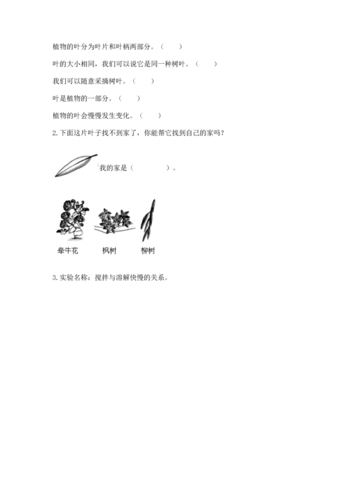 教科版科学一年级上册第一单元《植物》测试卷精品【易错题】.docx