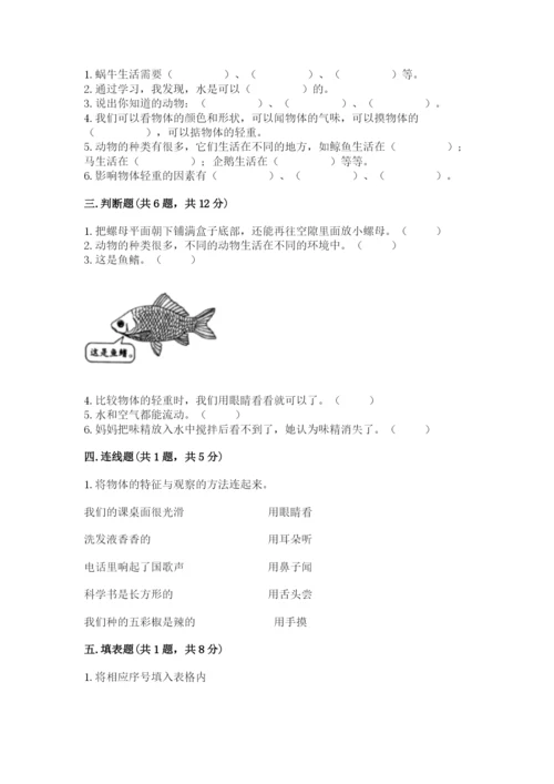 教科版一年级下册科学期末测试卷【综合题】.docx