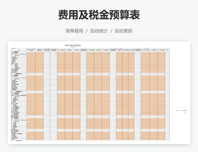 费用及税金预算表