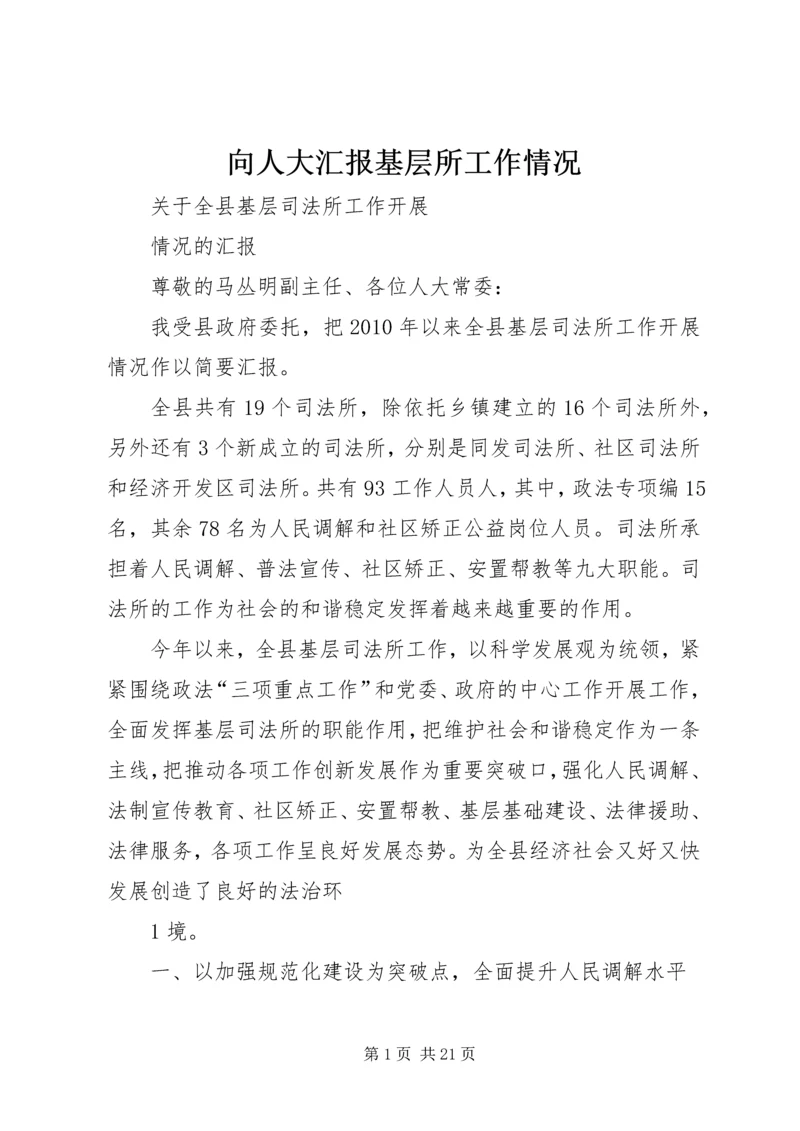 向人大汇报基层所工作情况.docx