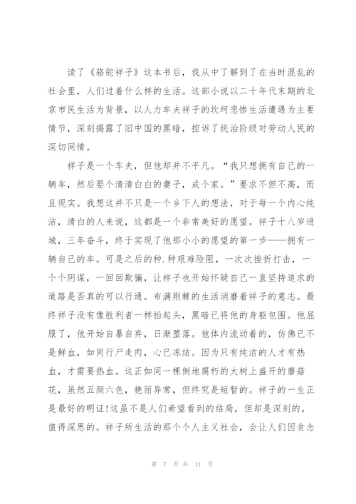 骆驼祥子小说每章读书心得24章5篇.docx