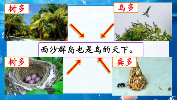 第18课《富饶的西沙群岛》课件