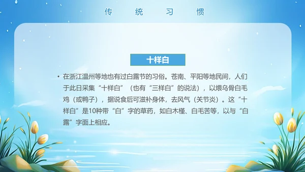 美丽的梦幻传统节气白露PPT模板