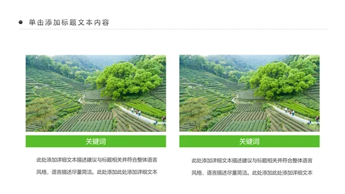 清新乡村旅游新农村建设乡村建设乡村旅游PPT模板