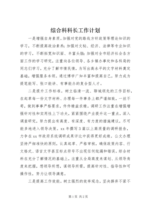 综合科科长工作计划 (2).docx