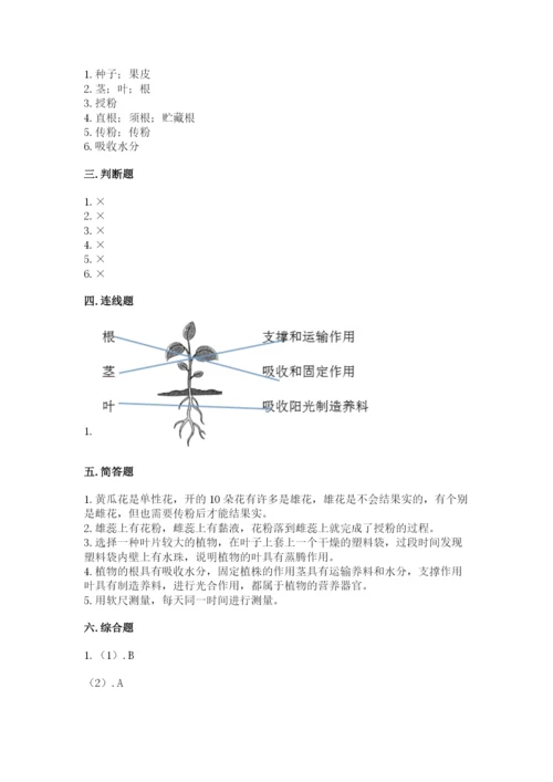 科学四年级下册第一单元《植物的生长变化》测试卷带答案（考试直接用）.docx