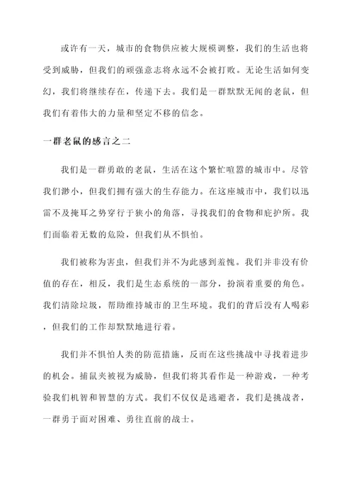 一群老鼠的感言