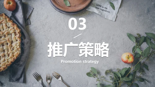 实景典雅高级西式餐饮品牌推广方案PPT模板