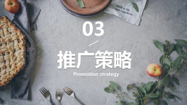 实景典雅高级西式餐饮品牌推广方案PPT模板