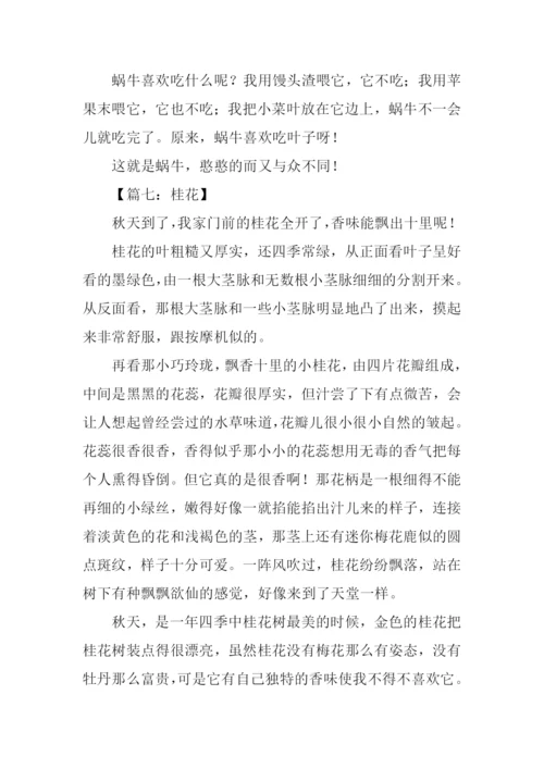 四年级作文观察日记.docx