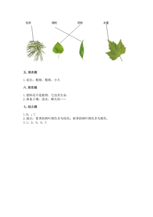 教科版科学一年级上册第一单元《植物》测试卷带答案（突破训练）.docx