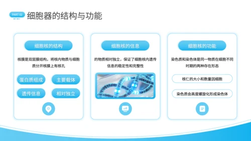 蓝色简约风细胞结构探秘PPT