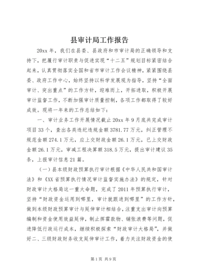 县审计局工作报告 (2).docx