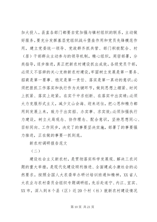 新农村调研报告范文.docx